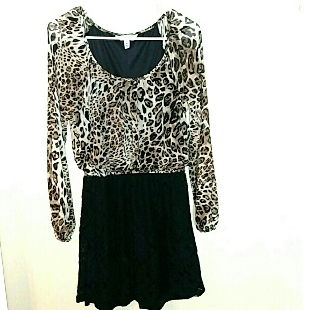 Speechless Leopard Print Lace Long Sleeve Dress